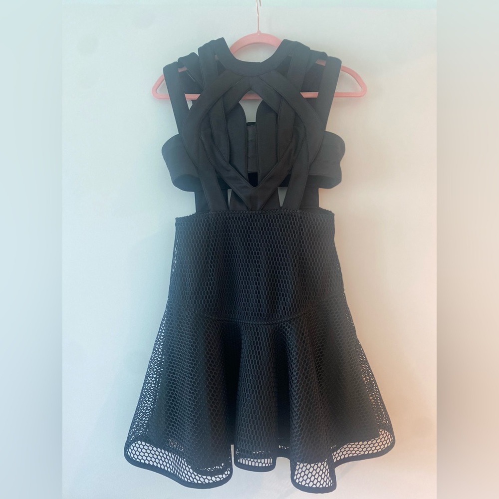 Nasty gal cutout mesh flared dress. Never worn. Brand new without tag.